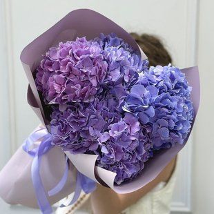 Гортензия фиолетовая R001 фото